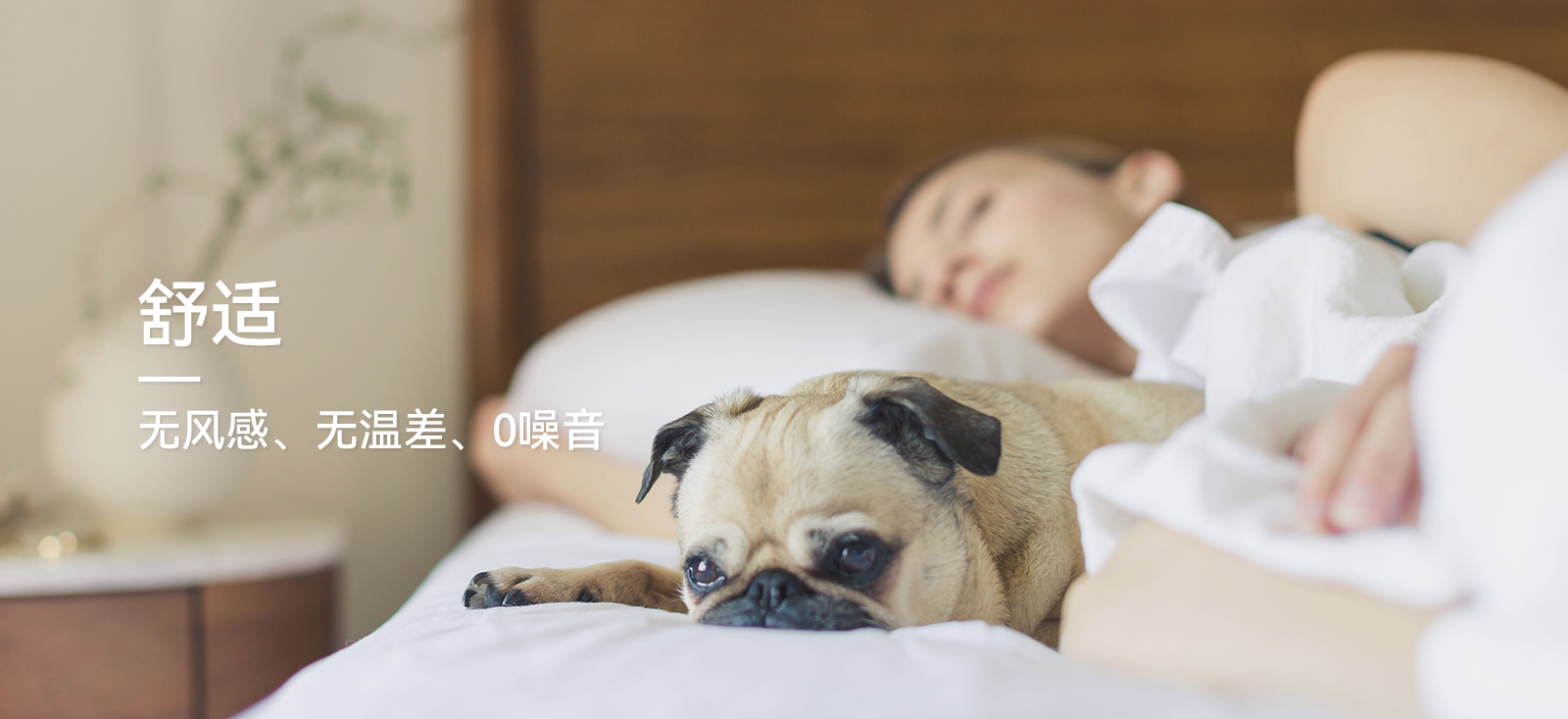 恒温恒湿恒氧恒洁恒静系统